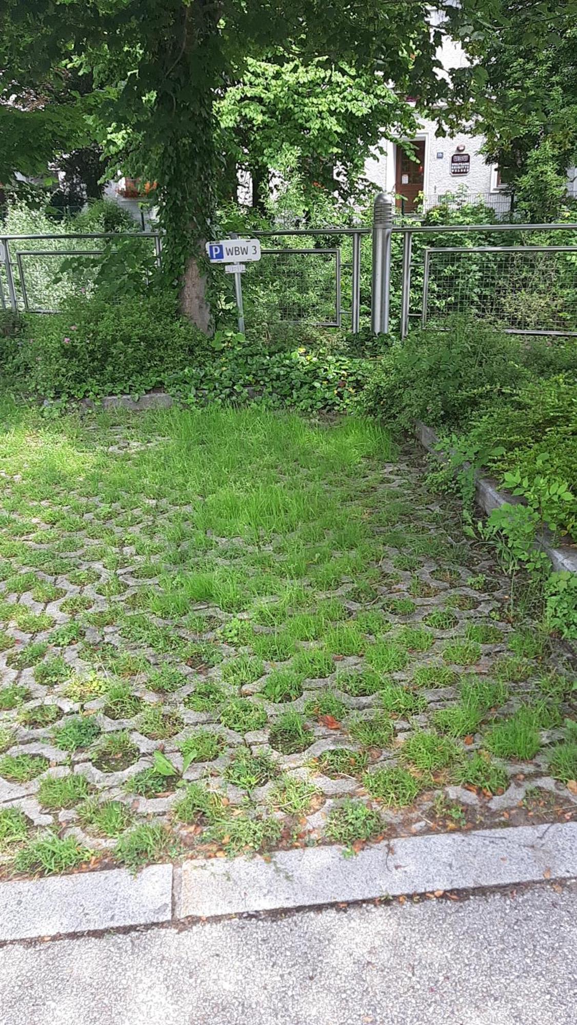 Ybbsitz Apartment Welser מראה חיצוני תמונה